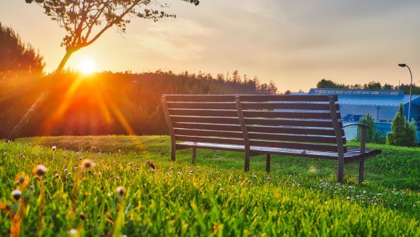 Лето солнце