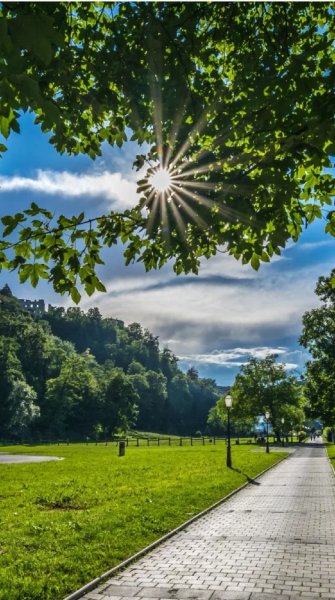 Летний парк