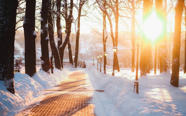 Зимнее солнце в городе