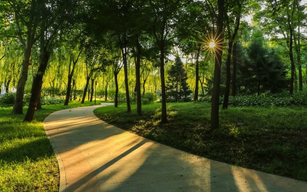 Тропинка в городском парке