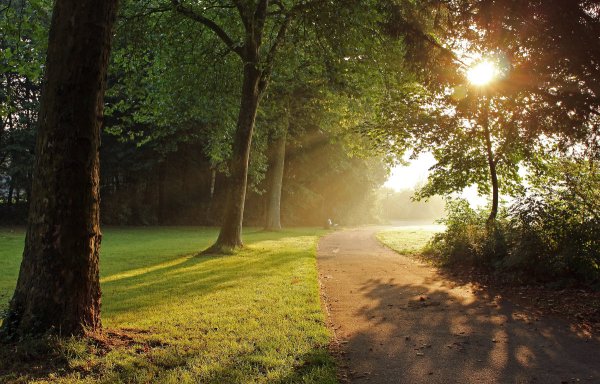 Рассвет в парке