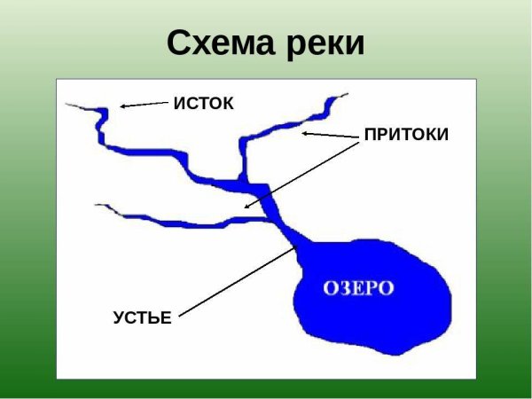 Схема реки Исток русло Устье
