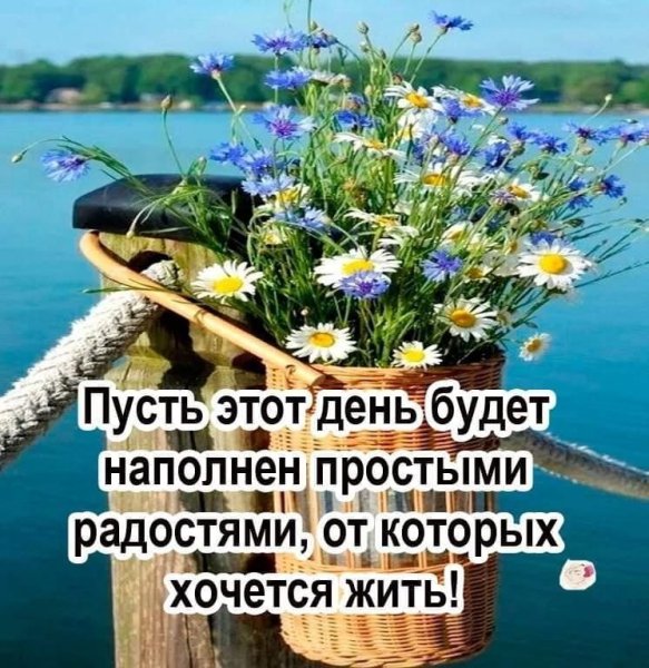 Добрые пожелания на каждый день