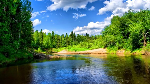 Сомёнка Крестецкий район озеро