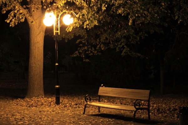 Скамейка в парке ночью