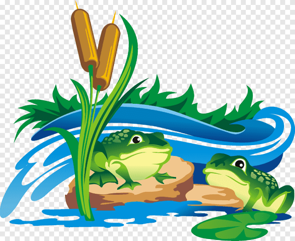 Лягушка в камышах