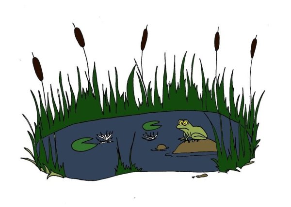 Болото для детей