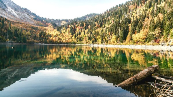 Озеро Рица Абхазия