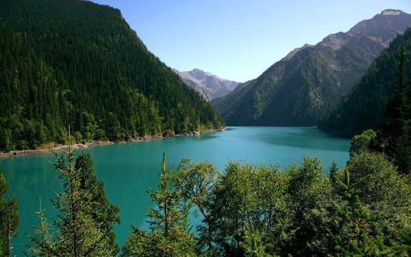 Рицинский парк Абхазия