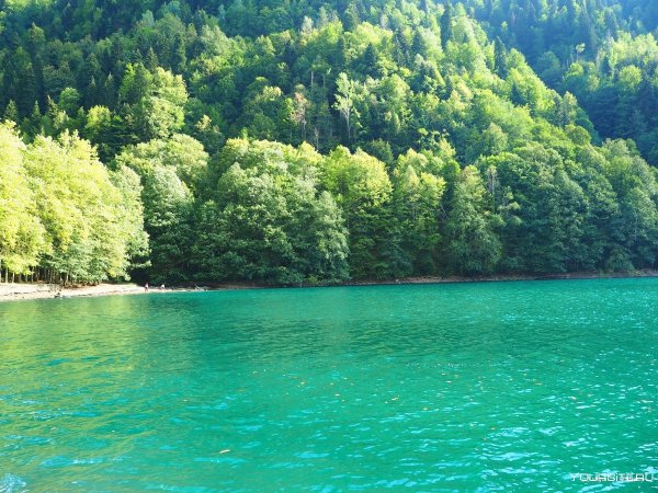 Пицунда Рица