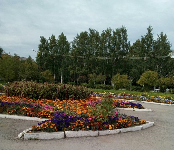 Еланский парк