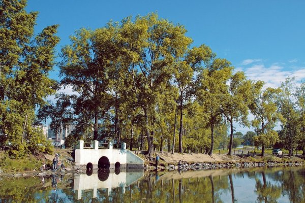 Еланский парк камень Ревда