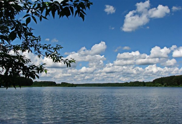 Озеро синее Псковская область