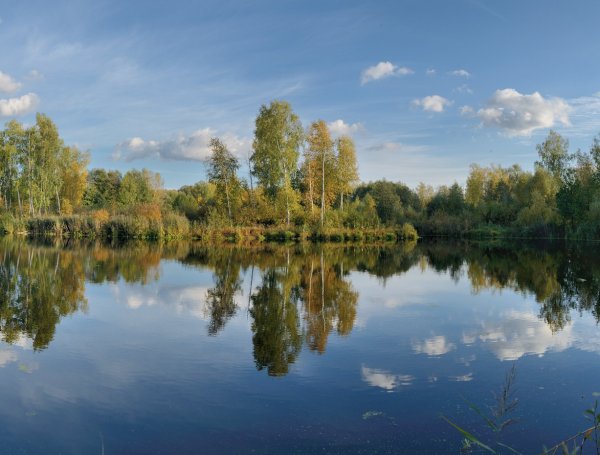 «Гляжу в озёра синие». Авторская выставка Емельянова