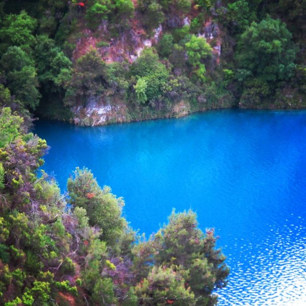 Блу-Лейк (озеро, Южная Австралия)