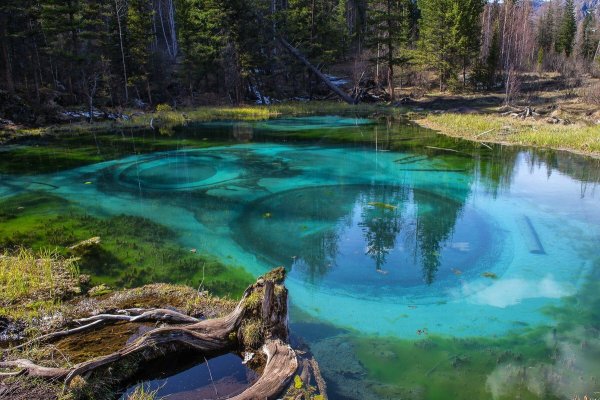 Голубые озера горный Алтай