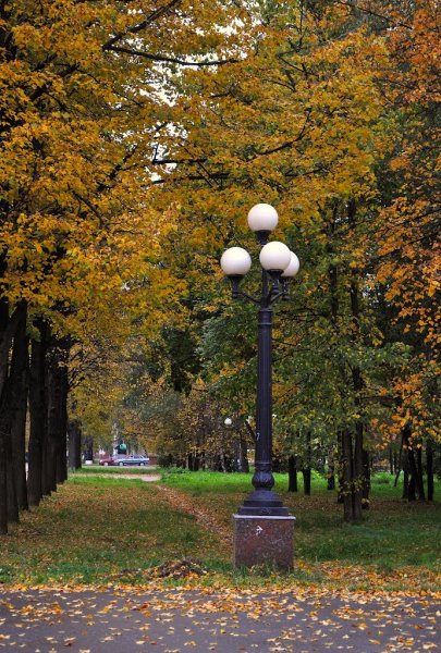 Кленовый сквер Йошкар-Ола