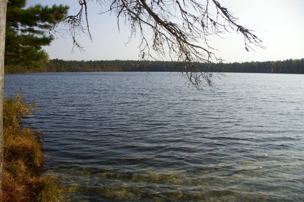 Озеро Невское Приозерский район