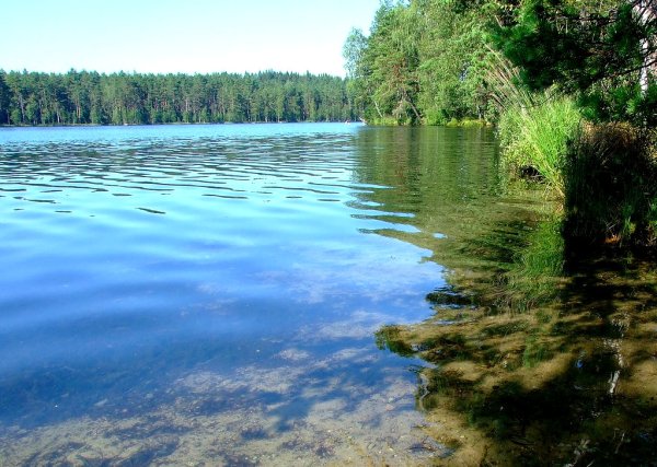 Озеро Невское Приозерский район
