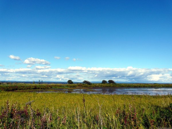 Поронайск озеро Невское