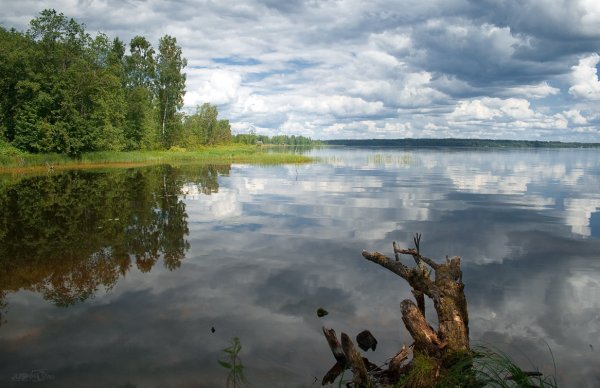 Озеро зеркальное Выборгский район