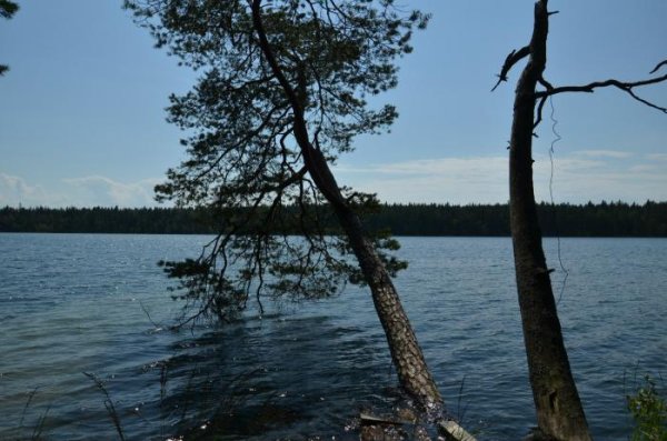 Озеро Невское Ленинградская область Выборгский район