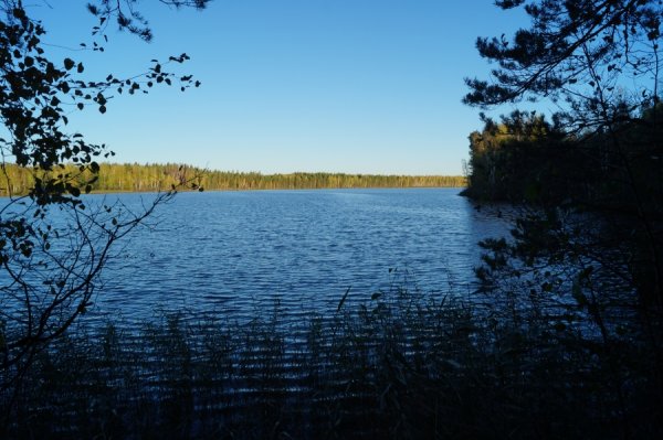 Озеро Рыжан Нижегородская область