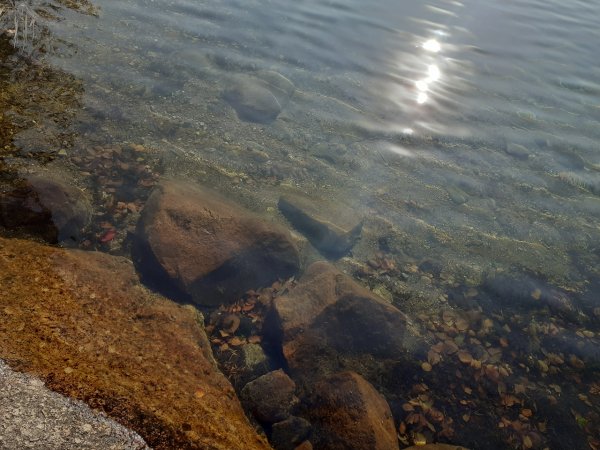 Невское озеро Ленинградская область