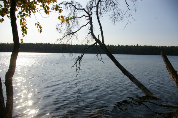 Озеро Невское Приозерский район