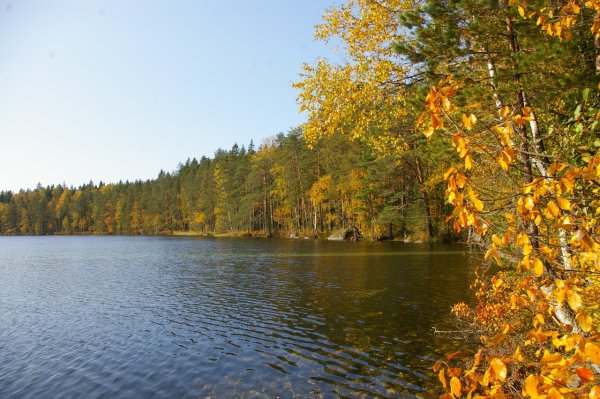 Палкеала Карельский перешеек