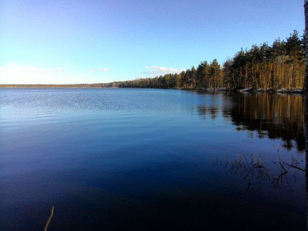 Старостинское озеро Ленинградская область