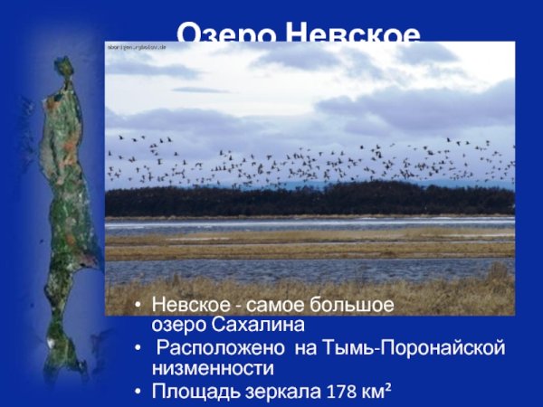 Озеро Невское Сахалинская область