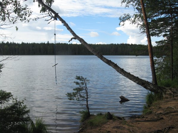 Невское озеро Ленинградская область