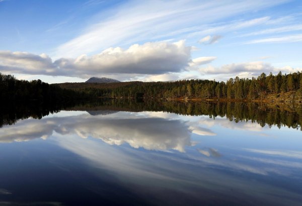 Озера Ямала