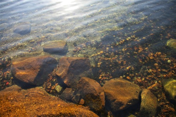 Невское озеро Ленинградская область