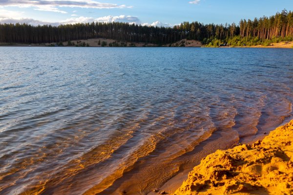 Невское озеро Ленинградская область