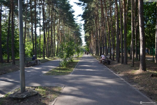 Город Липецк парк Победы