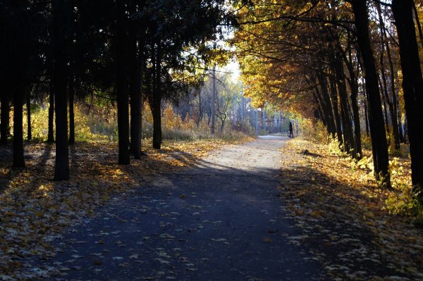 Парк Победы Липецк осенью