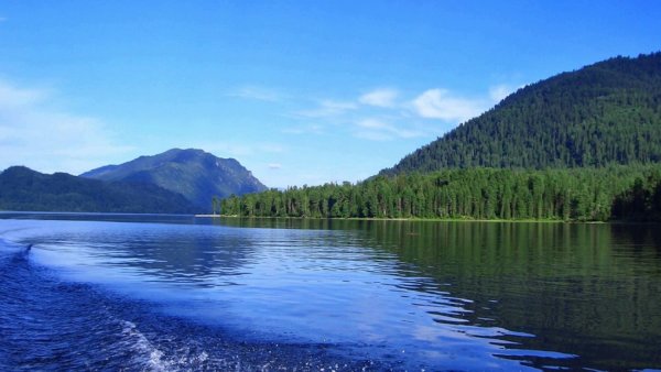 Горное озеро Телецкое