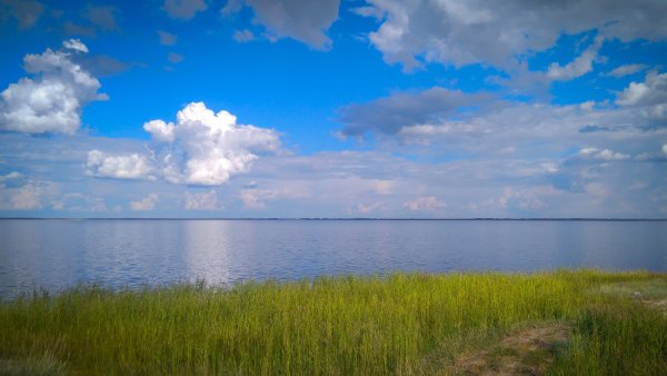 Большое Яровое озеро Алтайского края