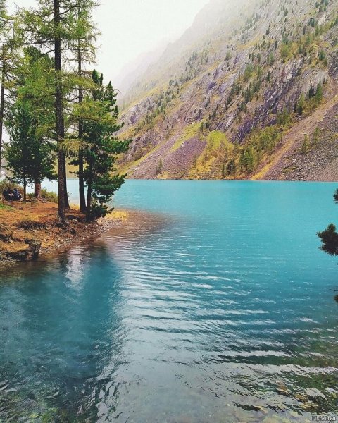 Шавлинские озера Алтайский край