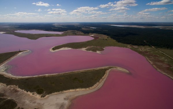 Малиновое озеро Алтай