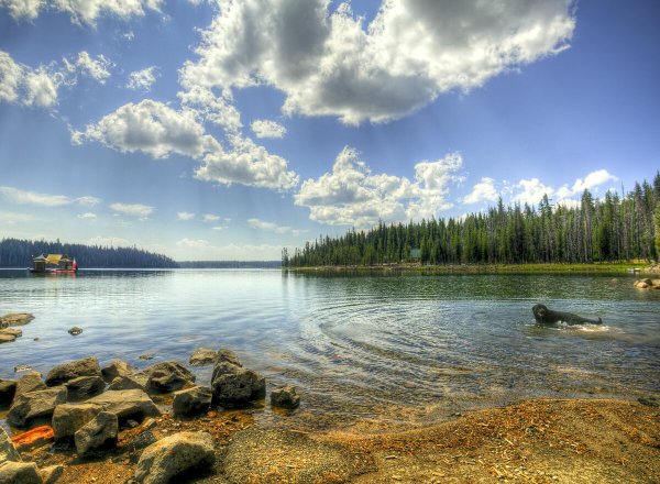Арей Забайкальский край
