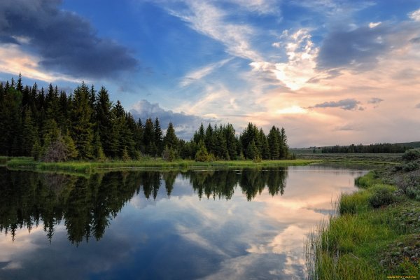 Заказник белая Кедва