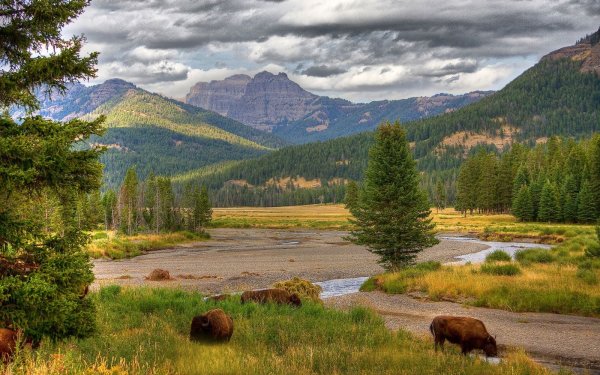 Национальный парк Йеллоустоун -Yellowstone Park