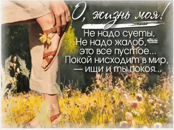 Надевайте красивые вещи не