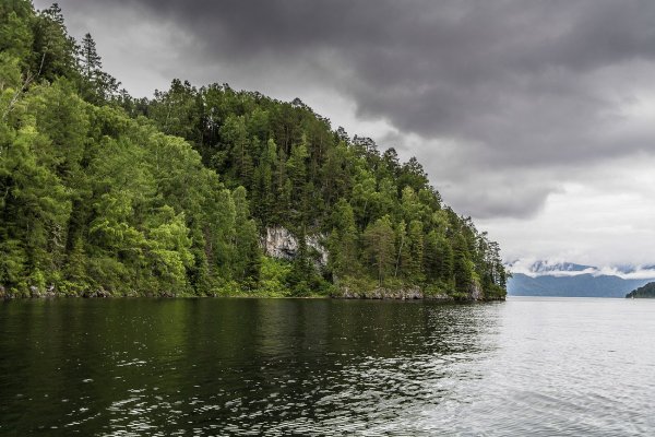 Телецкое озеро Тайга