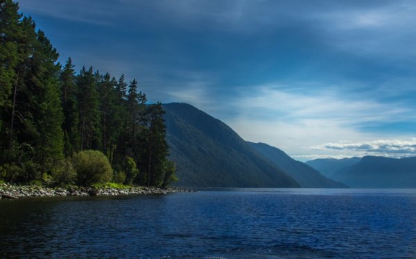 Природа Алтая Телецкое озеро