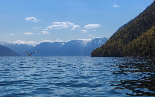 Телецкое озеро Телецкое озеро