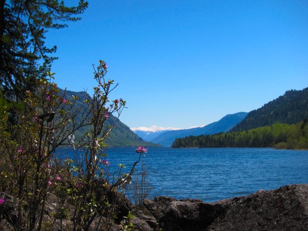 Гора Корбу Телецкое